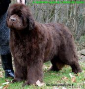 Превью фото № 234988