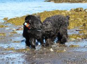 Превью фото № 235006