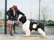 Превью фото № 235012