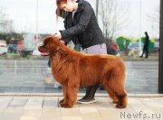 Превью фото № 235013