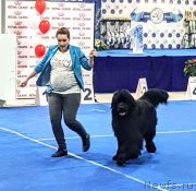 Превью фото № 235051