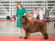 Превью фото № 235085