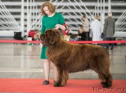 Превью фото № 235086