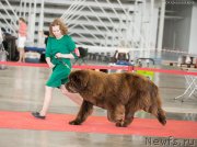 Превью фото № 235087