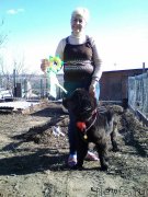 Превью фото № 235094