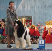 Превью фото № 235154