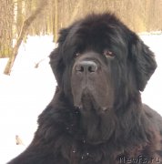 Превью фото № 235171