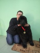 Превью фото № 235188