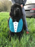 Превью фото № 235189