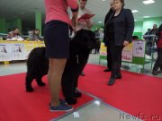 Превью фото № 235190