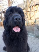 Превью фото № 235194