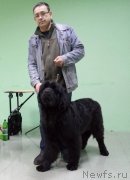 Превью фото № 235195