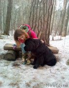 Превью фото № 235217