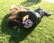 Превью фото № 235232