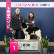 Превью фото № 235235