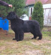 Превью фото № 235302