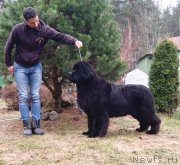 Превью фото № 235303