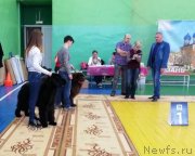 Превью фото № 235306