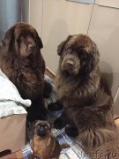 Превью фото № 235331