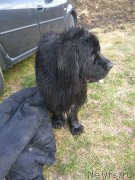 Превью фото № 235370