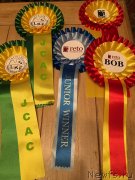 Превью фото № 235378