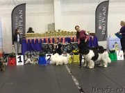 Превью фото № 235379