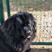 Превью фото № 235383