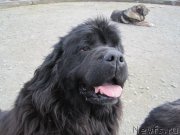 Превью фото № 235416