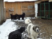 Превью фото № 235421