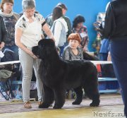 Превью фото № 235425