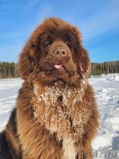 Превью фото № 235436