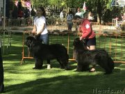 Превью фото № 235451