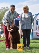 Превью фото № 235469