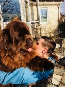 Превью фото № 235474