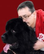 Превью фото № 235479