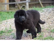 Превью фото № 235483