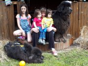 Превью фото № 235490