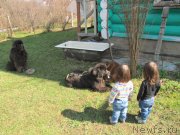 Превью фото № 235491