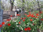 Превью фото № 235494