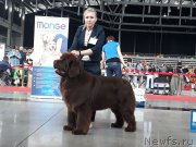 Превью фото № 235543