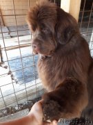 Превью фото № 235648