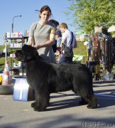 Превью фото № 235667