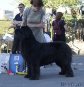 Превью фото № 235669