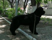 Превью фото № 235747