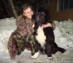 Превью фото № 23575