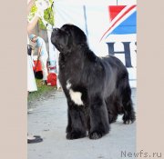 Превью фото № 235789