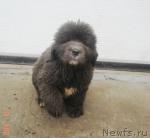 Превью фото № 2358