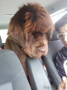 Превью фото № 235813