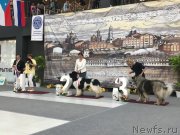 Превью фото № 235814