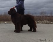 Превью фото № 235829